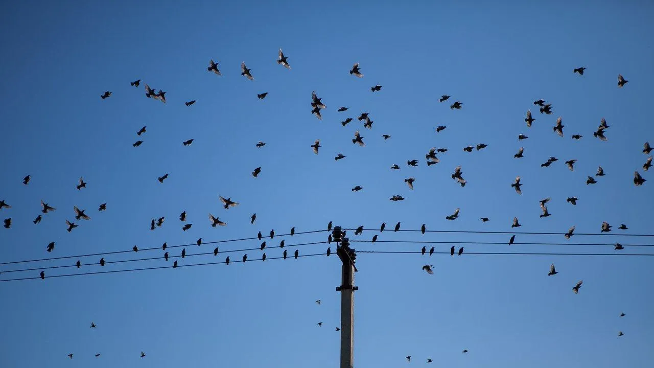 REGIONS/Роман Малышенко