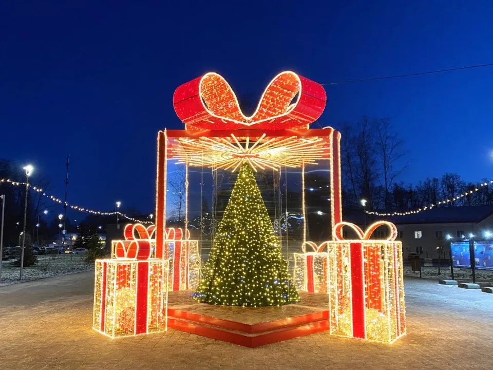 Фото: администрация г. о. Электросталь