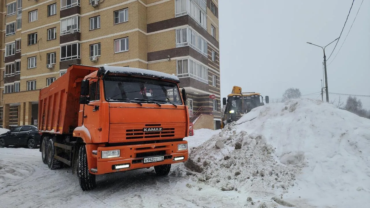REGIONS/Валерия Тингаева