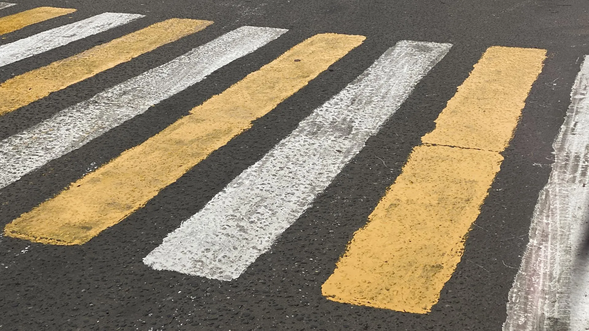 Фото: Виктория Селиванова