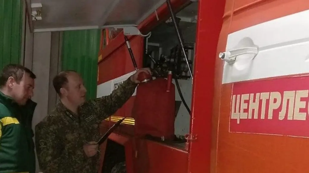 © Пресс-служба Комитета лесного хозяйства Московской области