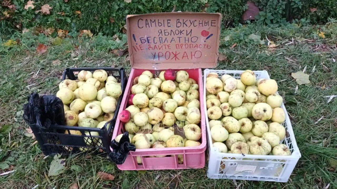 социальные сети