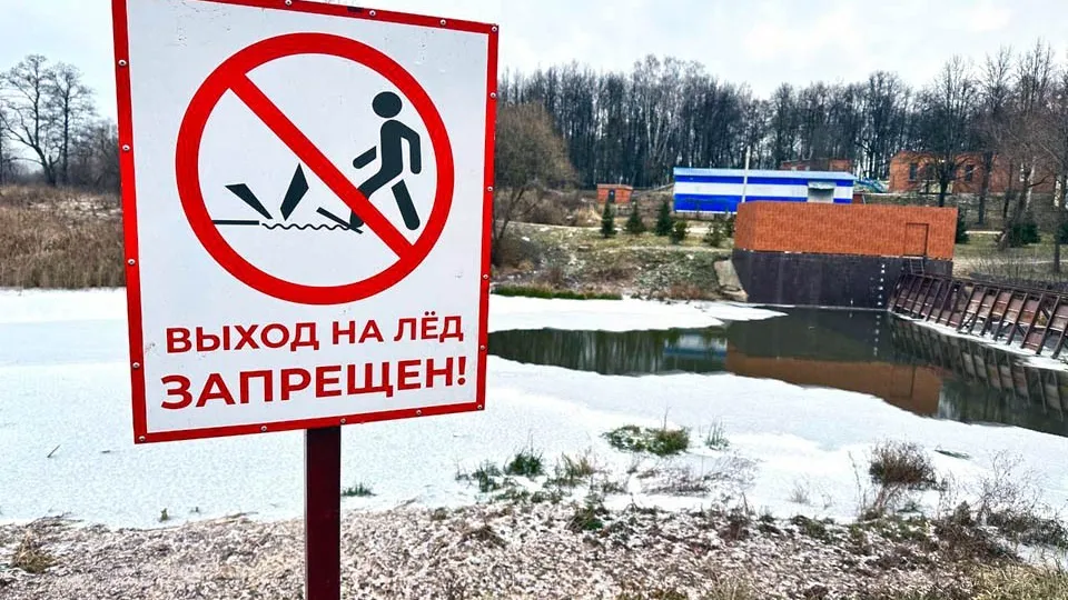 Фото: МедиаБанк Подмосковья/Лилия Закирова