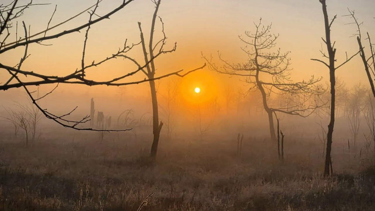 Фото: REGIONS/Анастасия Широкая