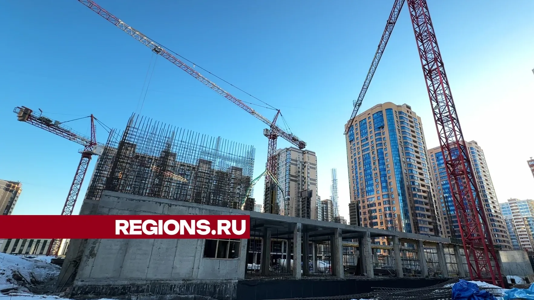 Текст, фото и видео – Ксения Казакова