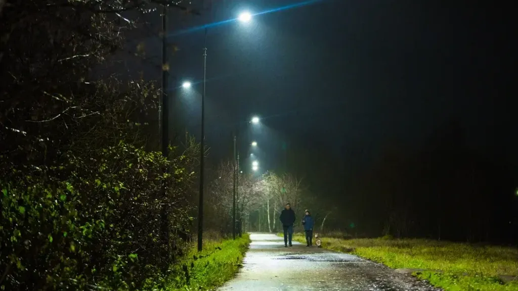 Фото: Министерство благоустройства МО