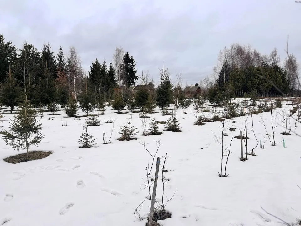 Фото: пресс-служба администрации Можайского м. о.