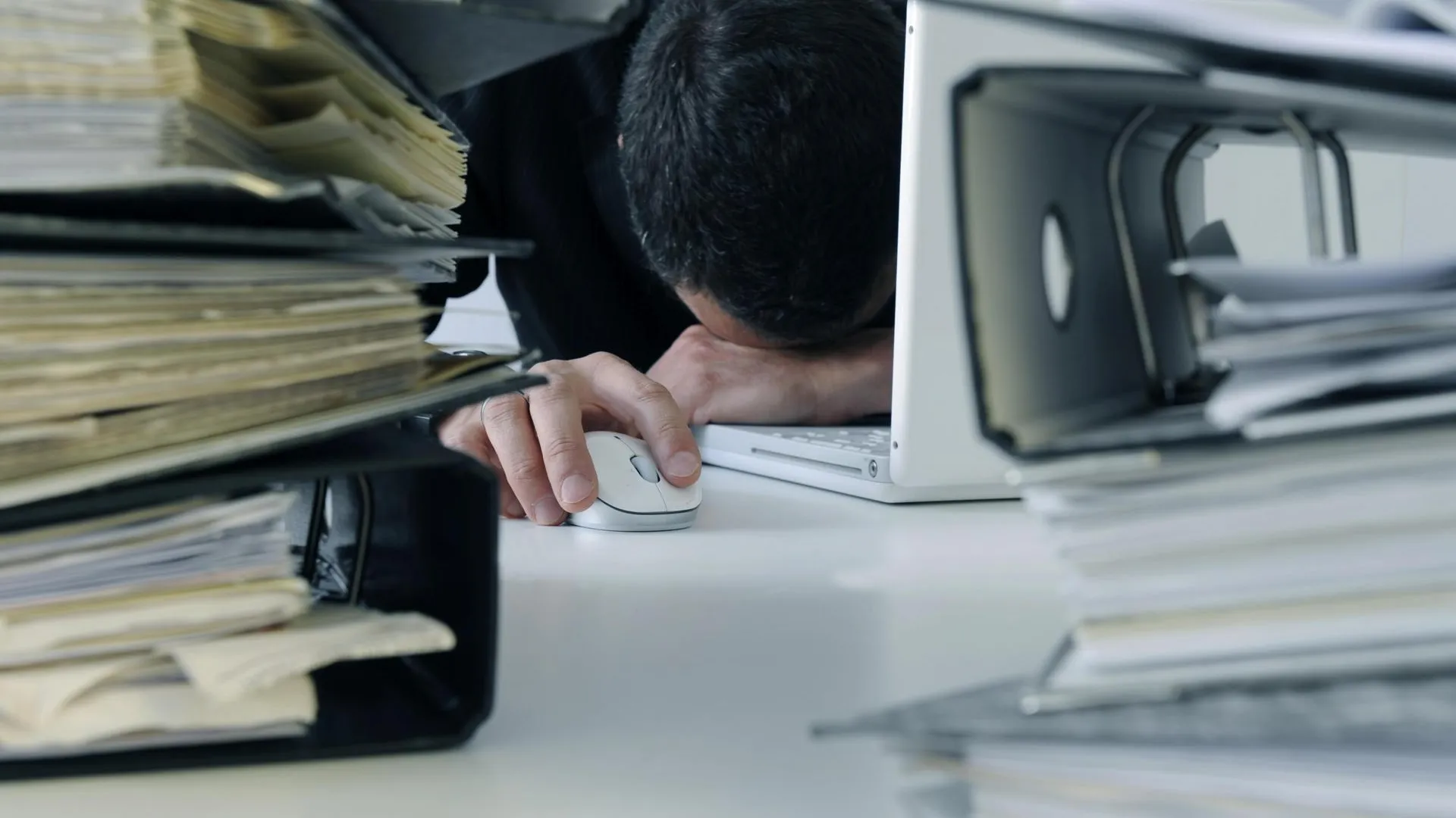 Felix Vogel/imageBROKER.com