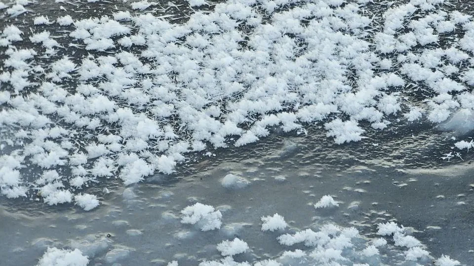 t.me/drozhzhinobutovopark2