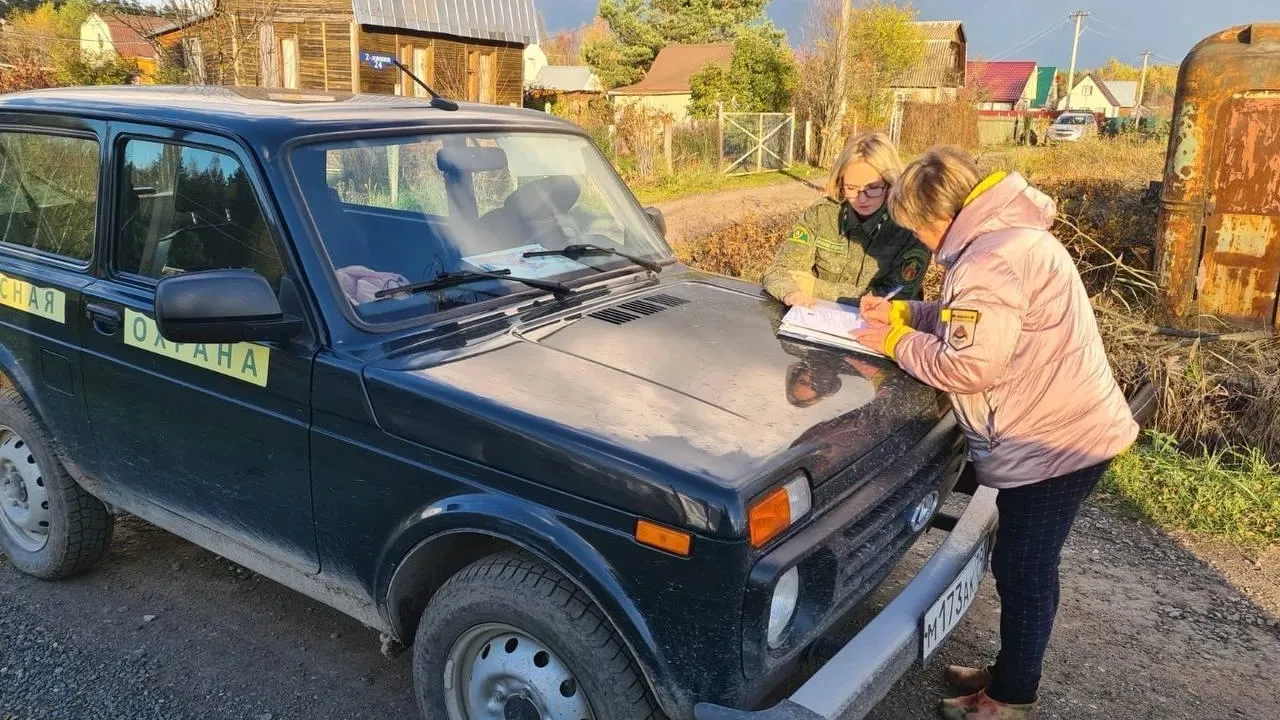 Комитет лесного хозяйства Московской области