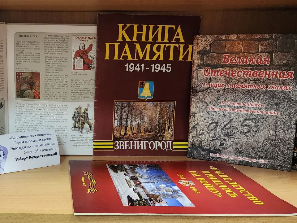 Фото: МедиаБанк Подмосковья/Хавива Фонина&nbsp;