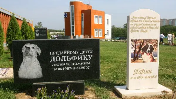 Кладбища домашних животных могут появиться в МО