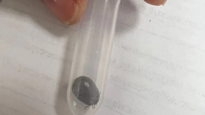 пресс-служба Жуковской ОКБ