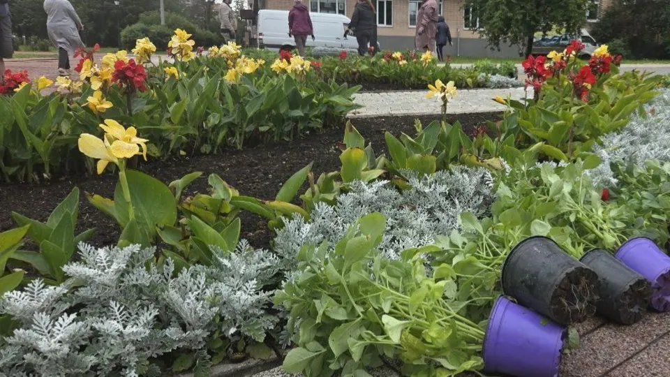 Фото: пресс-служба администрации г.о. Балашиха