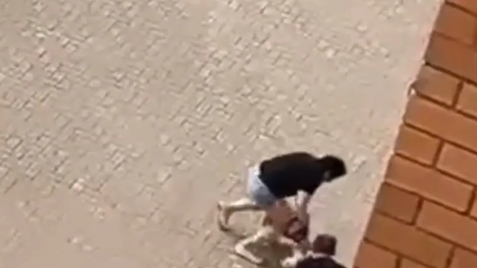 Фото: t.me/kotelniki_24