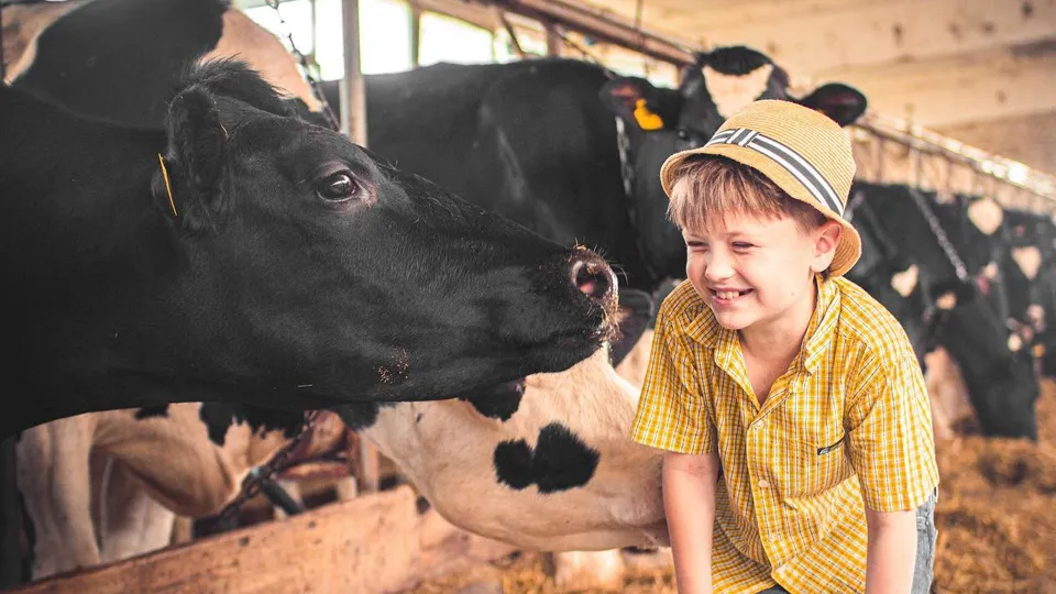 Фото: «Ферма Цветковых»