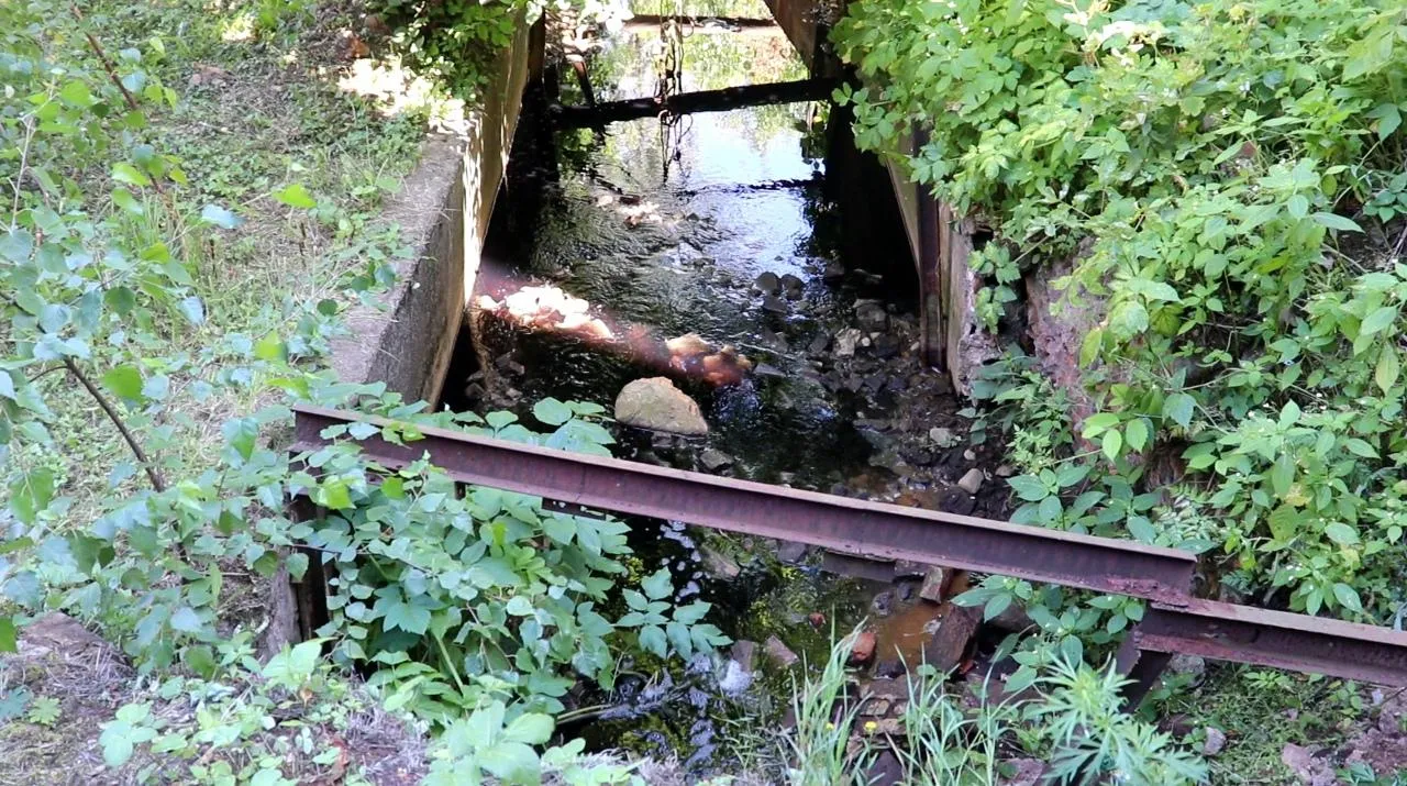 Фото: пресс-служба Администрации г.о. Егорьевск