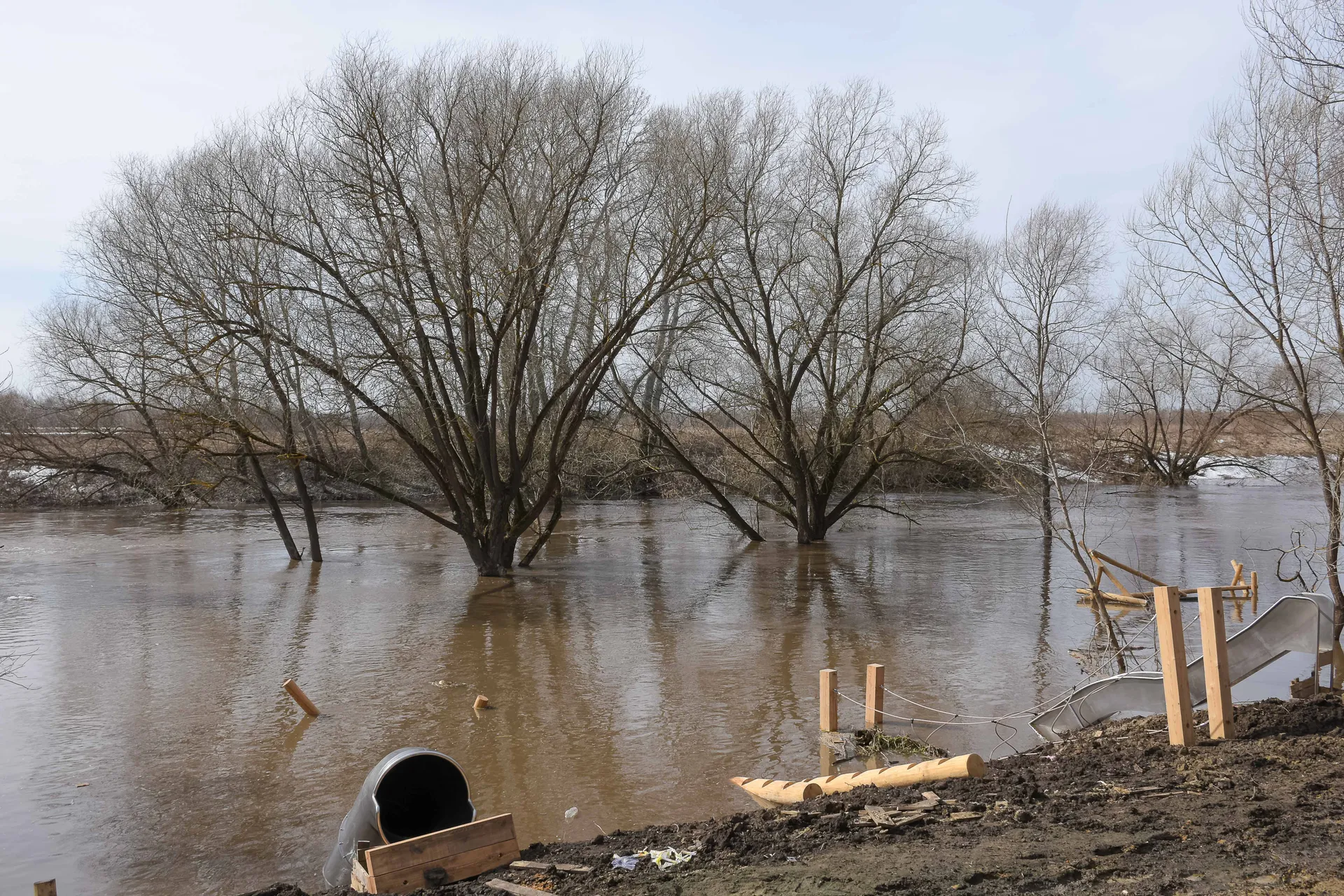 Фото: Евгений Мазепов