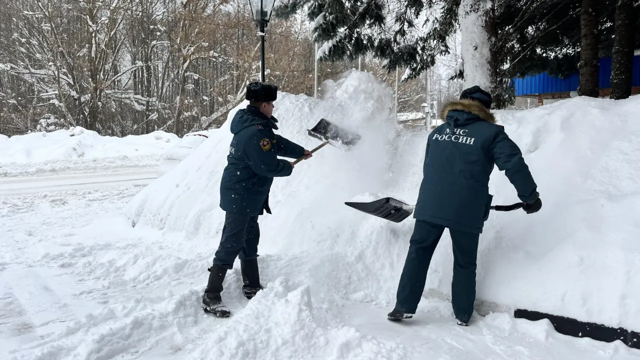 МедиаБанк Подмосковья/Ангелина Стельмух