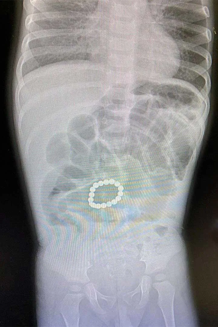 Источник: ramenskoye.ru