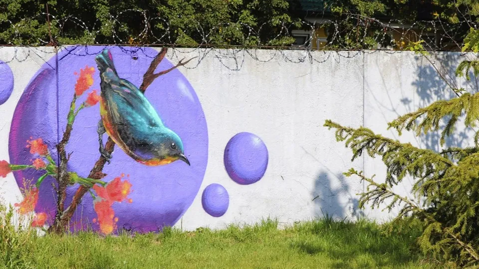 Фото: Администрация Павлово-Посадского городского округа