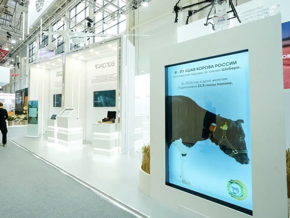 Фото: пресс-служба губернатора и правительства Московской области/Александра Степанова