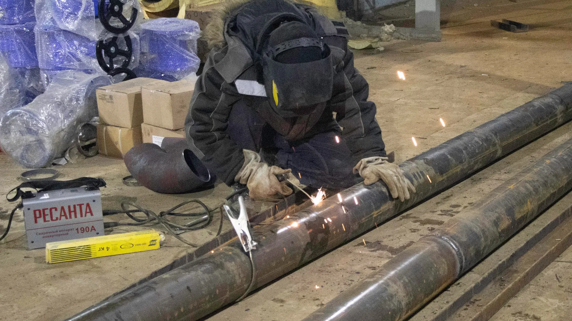 Фото: Александр Морозов