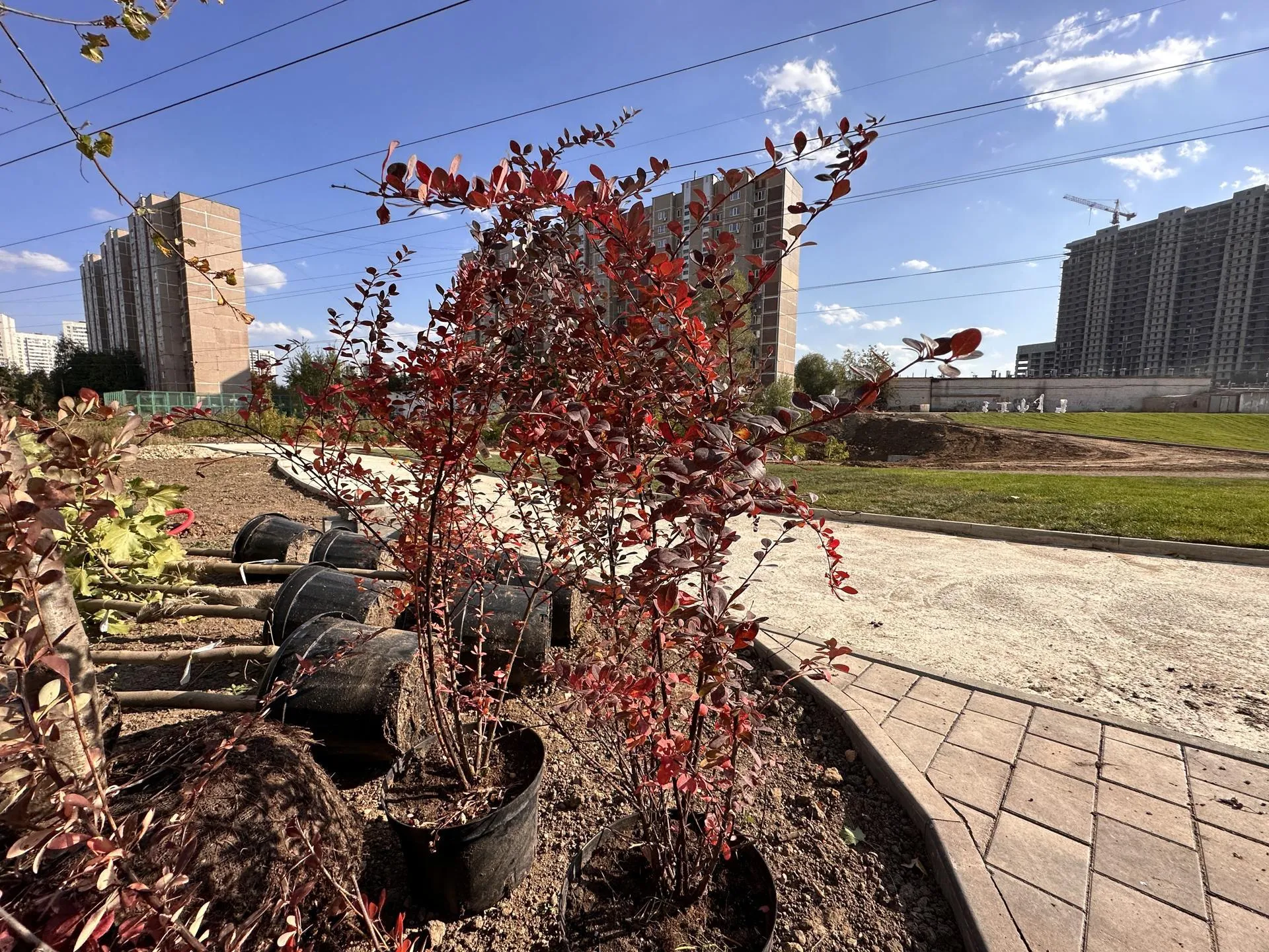 Мария Петрова