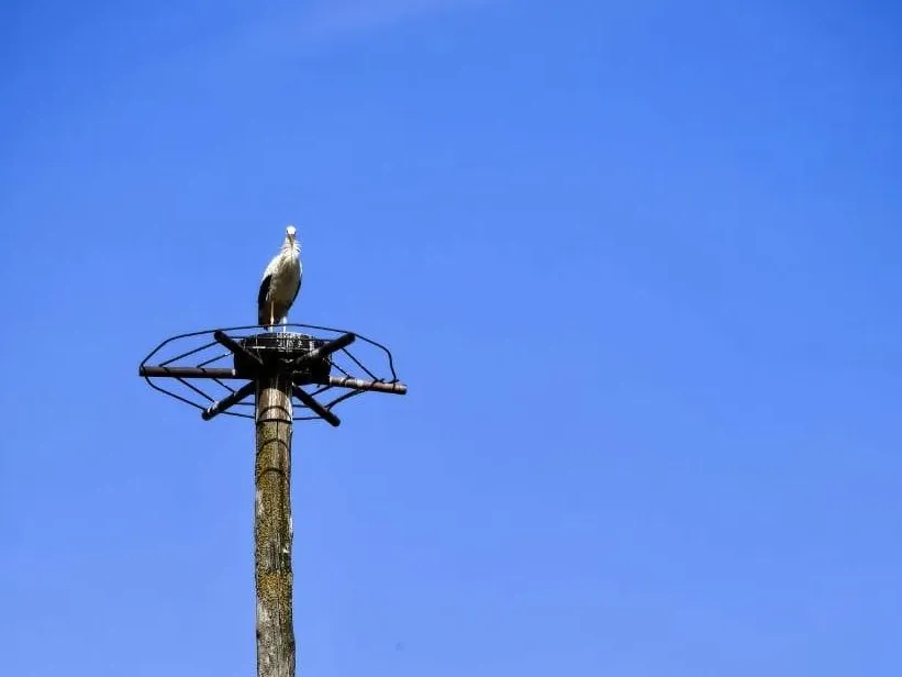 Фото: Анна Тюрюмина&nbsp; &nbsp; &nbsp; &nbsp;