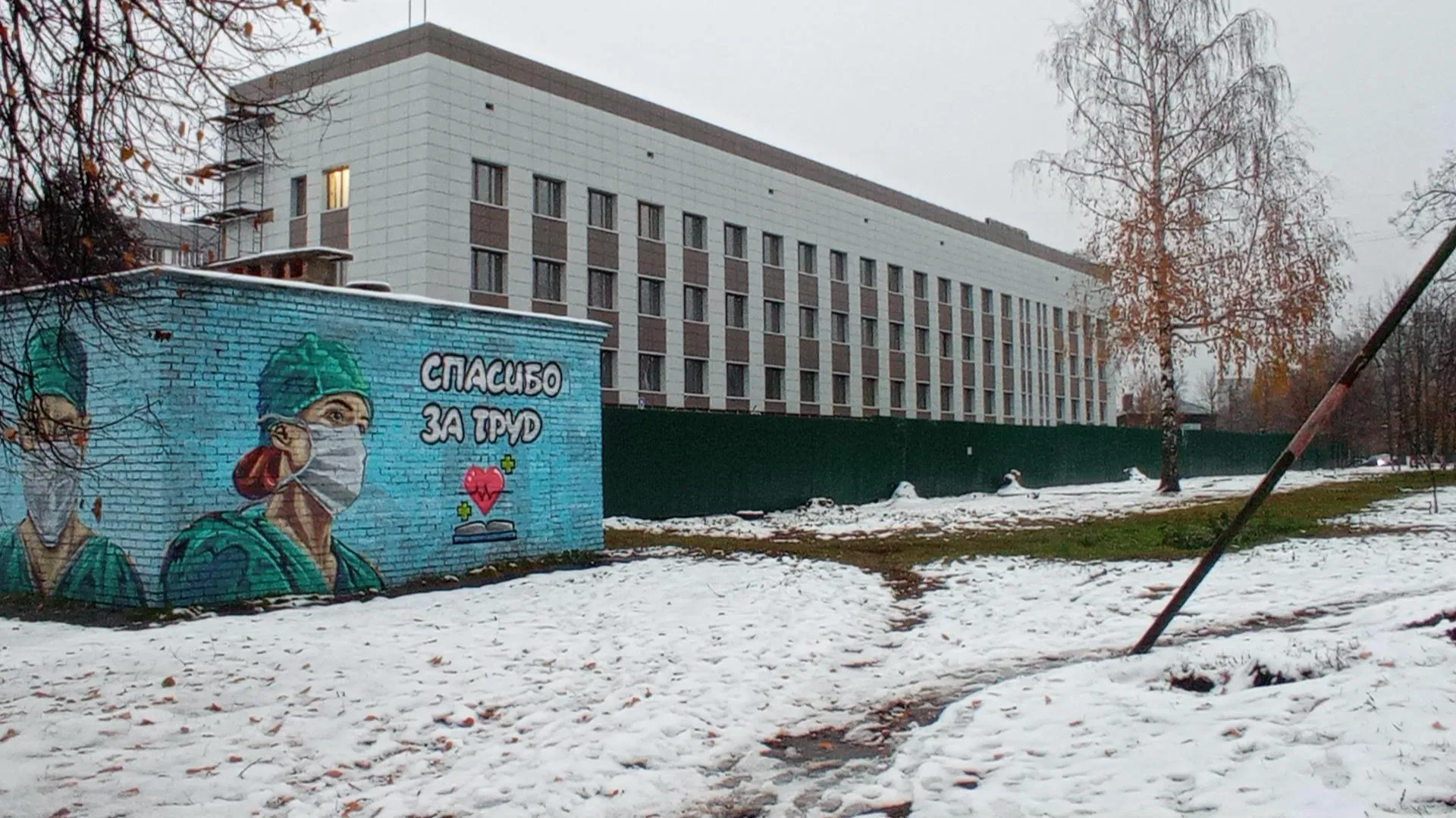 Источник: Алена Притула