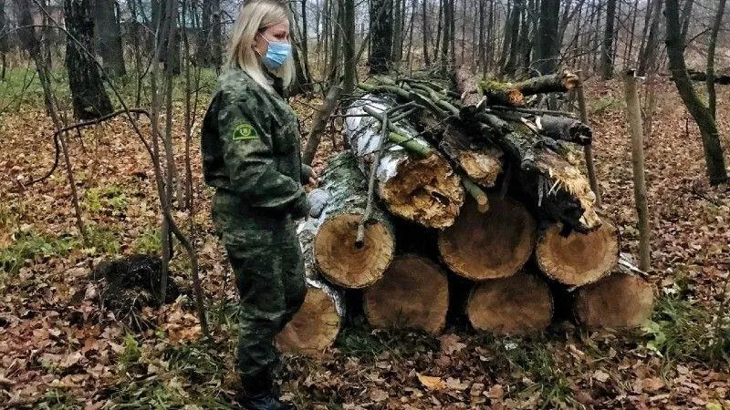 Лесничие Рузского округа устраняют последствия штормового ветра