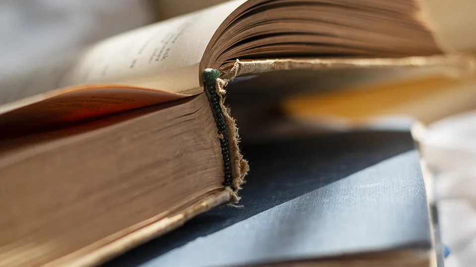 Фото: freepik.com