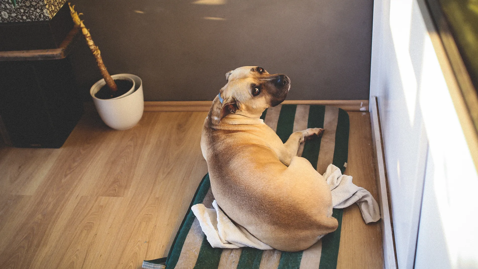 Фото: freepik.com