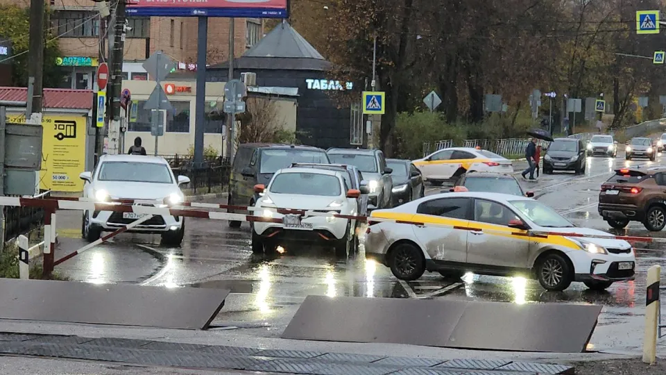 Фото: МедиаБанк Подмосковья/Екатерина Морозова