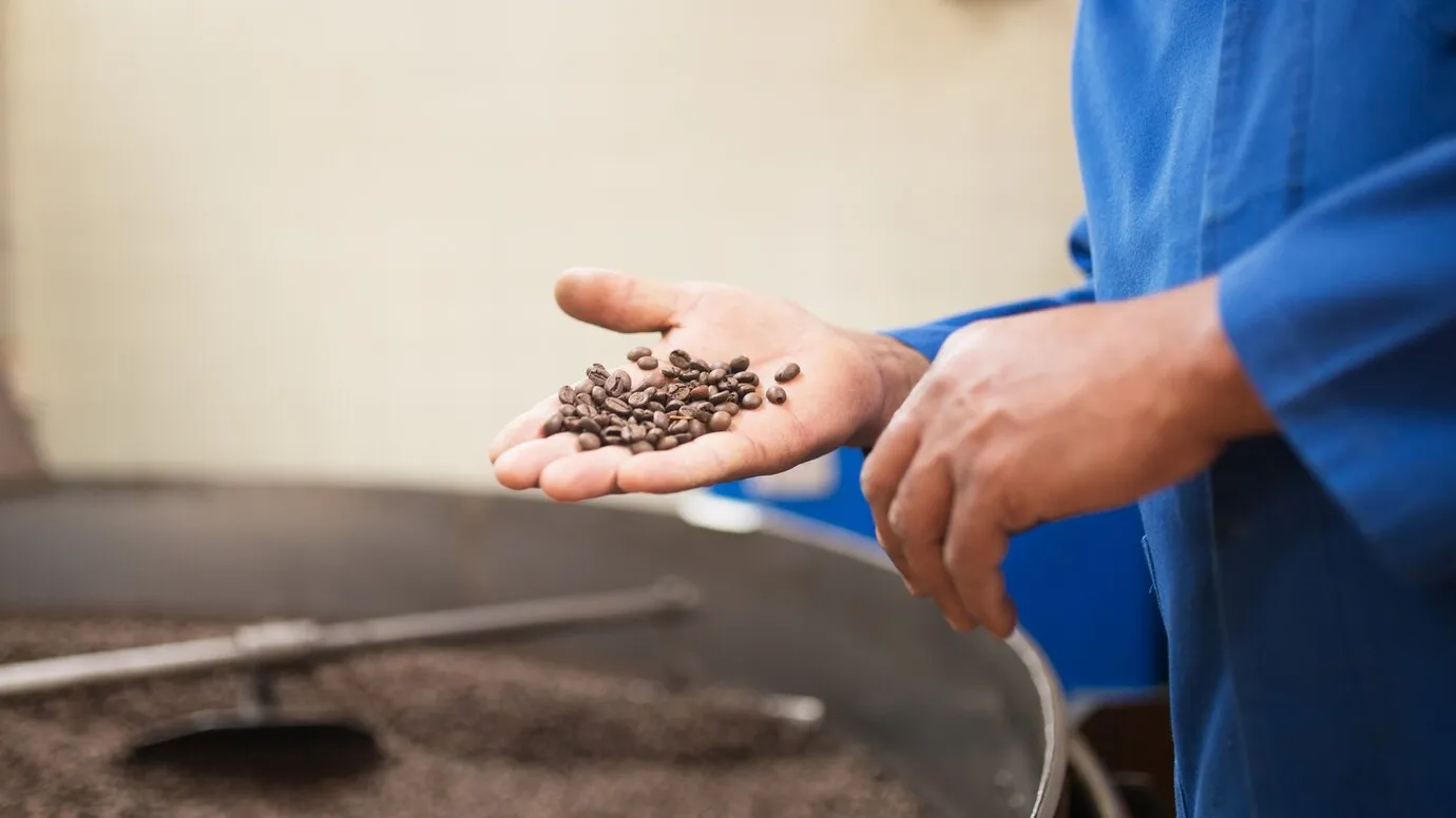 Фото: freepik.com