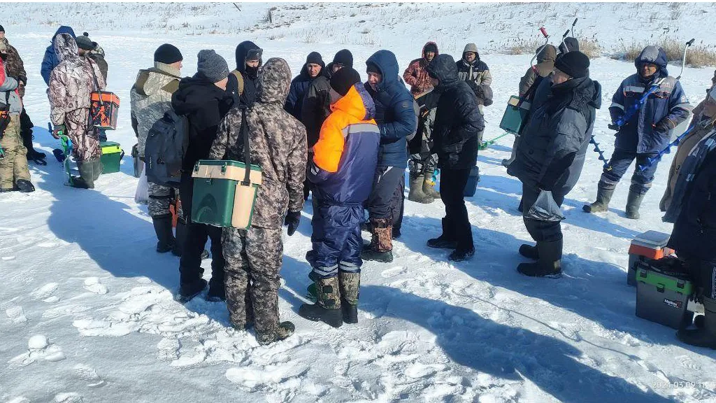 Источник: телеграм-канал городской округ Серебряные Пруды