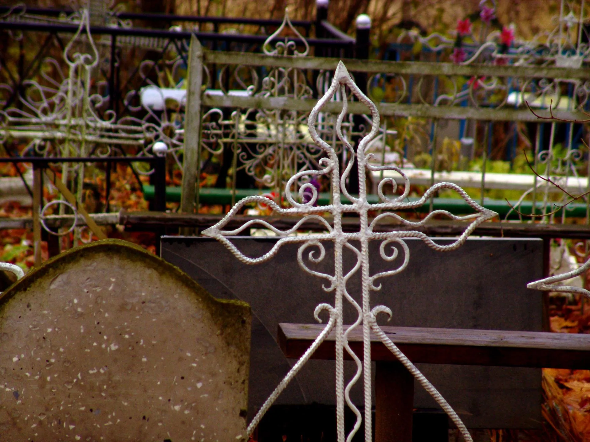 Konstantin Kokoshkin/Russian Look