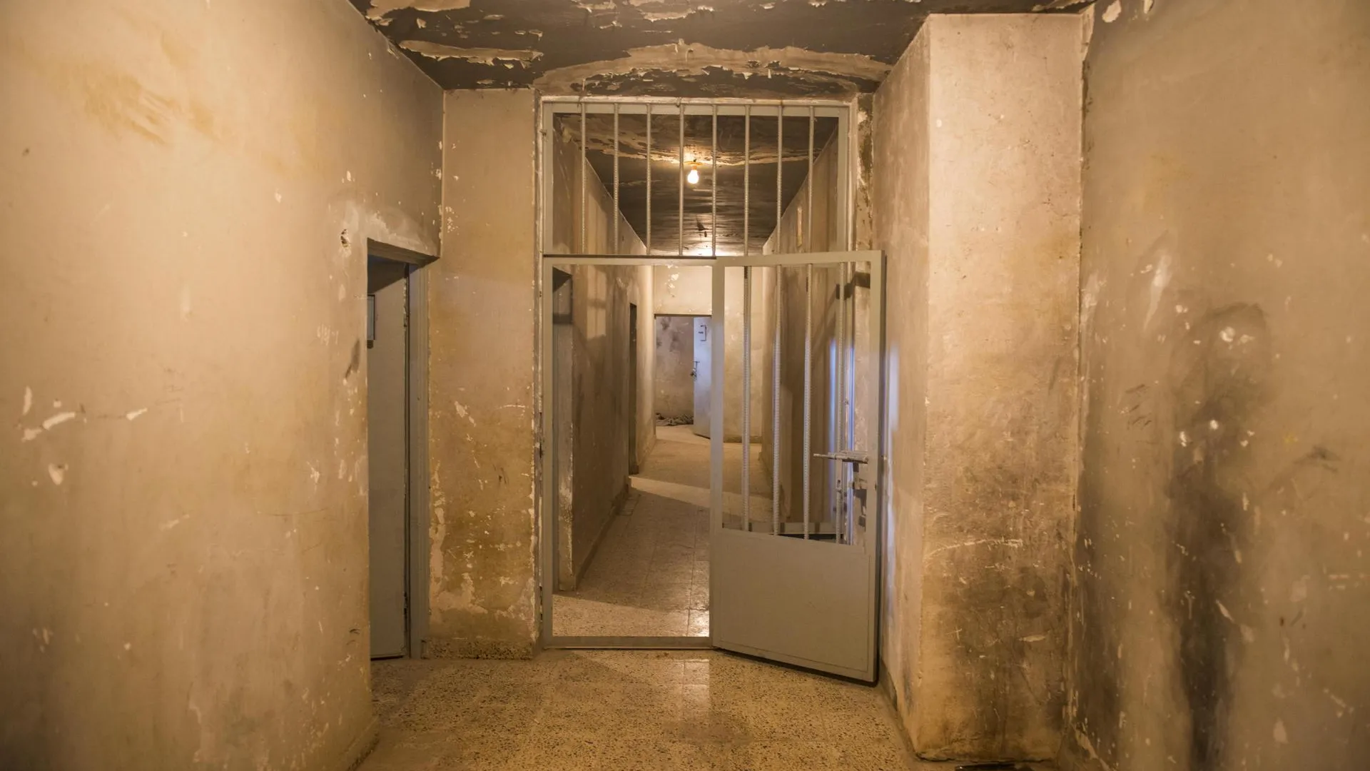 Michael Runkel/imageBROKER.com