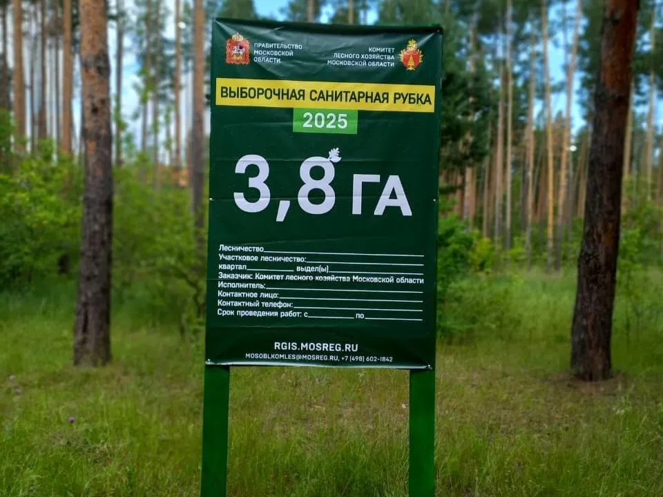 Фото: Комитет лесного хозяйства Московской области