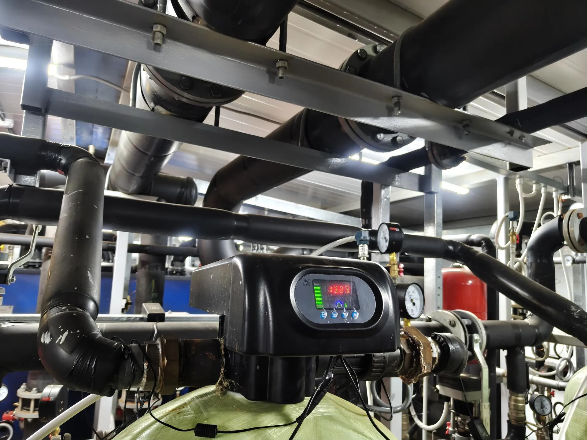 Фото: Сергей Орлов&nbsp;