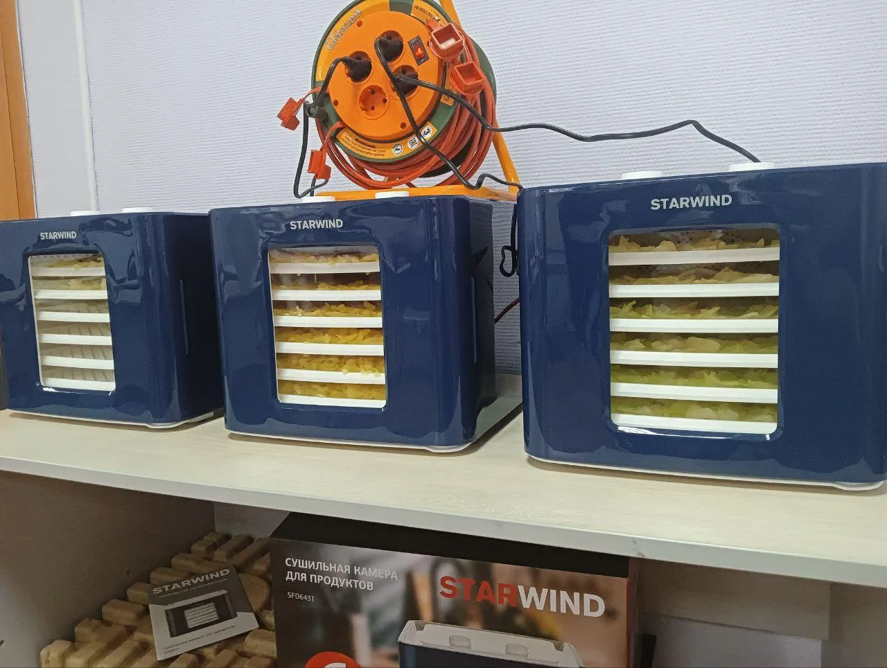 фото: из архива Дома молодежи