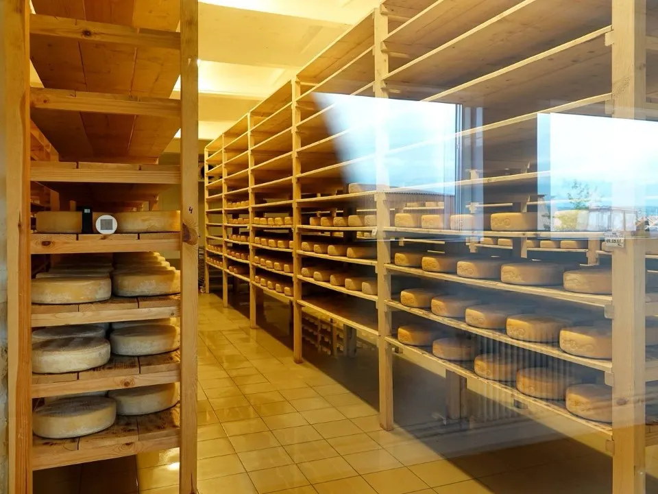 Фото: t.me/OErohanovaSP