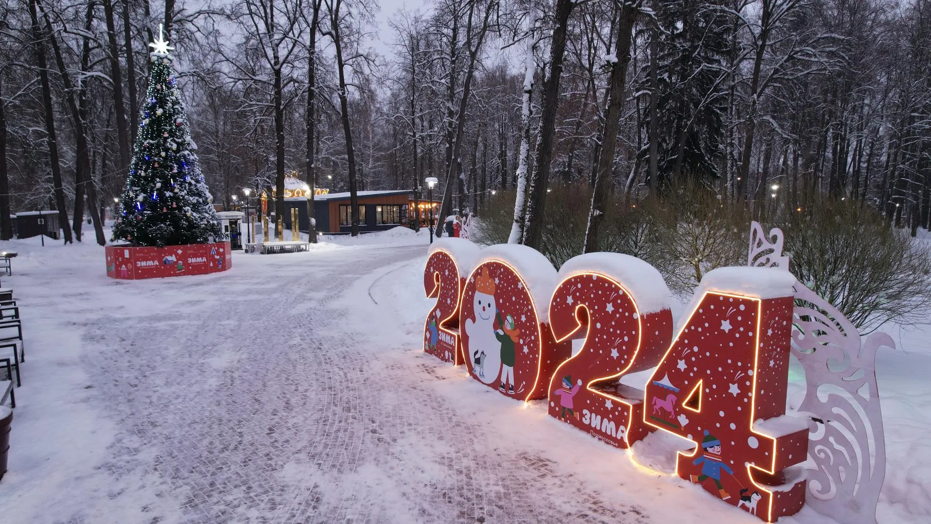 Дарья Московцева