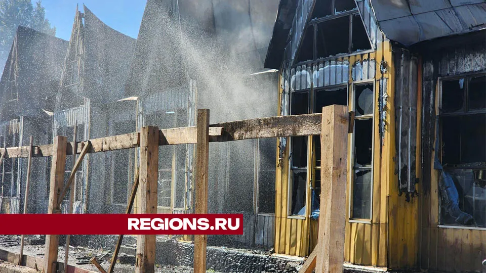 Фото: Мария Андрюхина