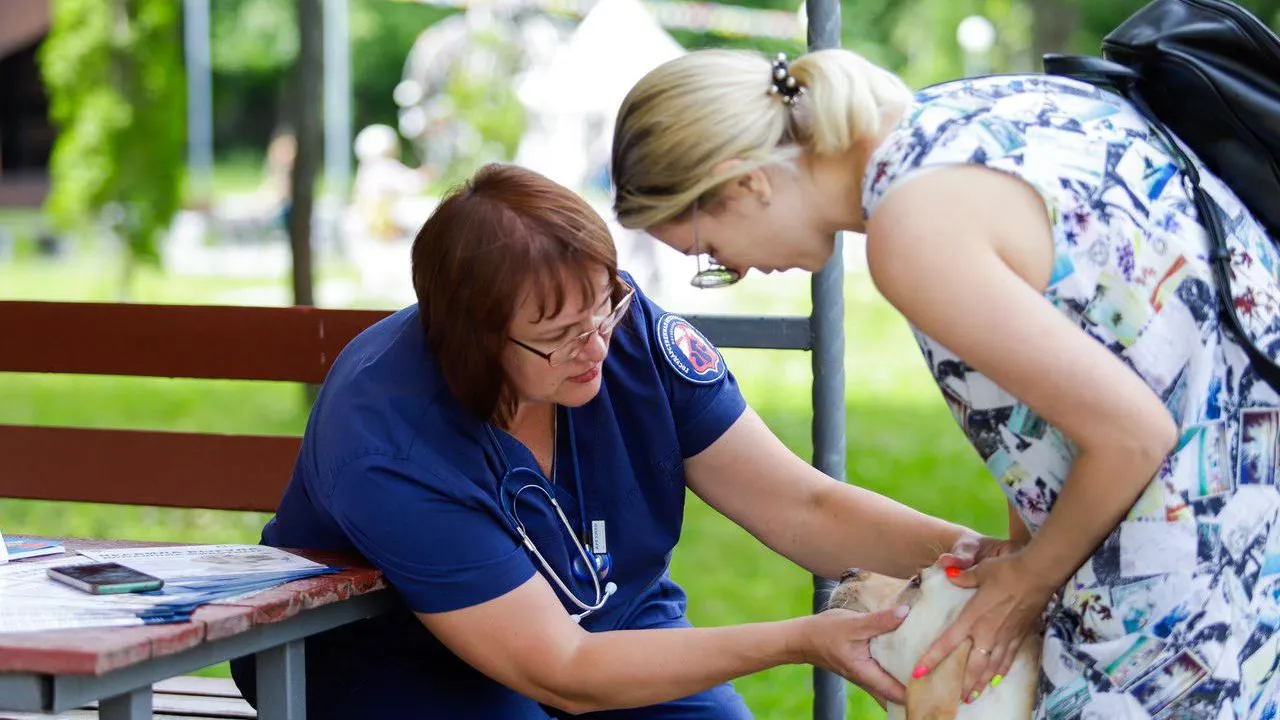 Фото: пресс-служба Администрации г.о. Кашира