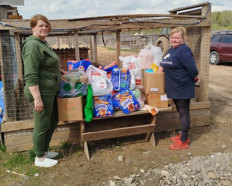 Фото: Министерство образования Московской области