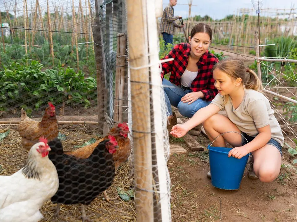 Фото: istockphoto.com