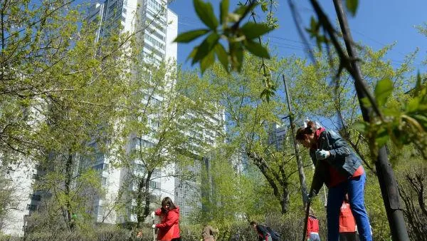 В Луховицах школьники помогают с уборкой города