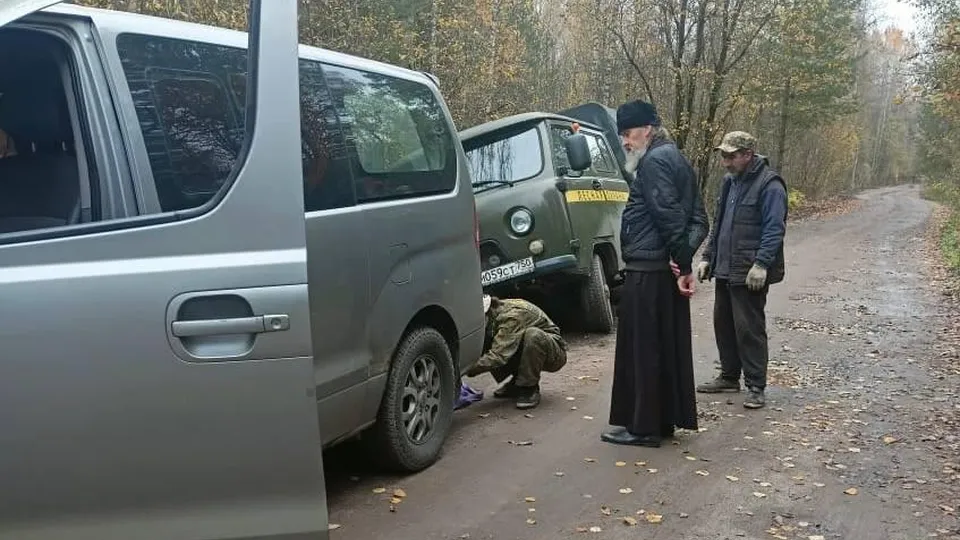 Фото: Комитет лесного хозяйства МО