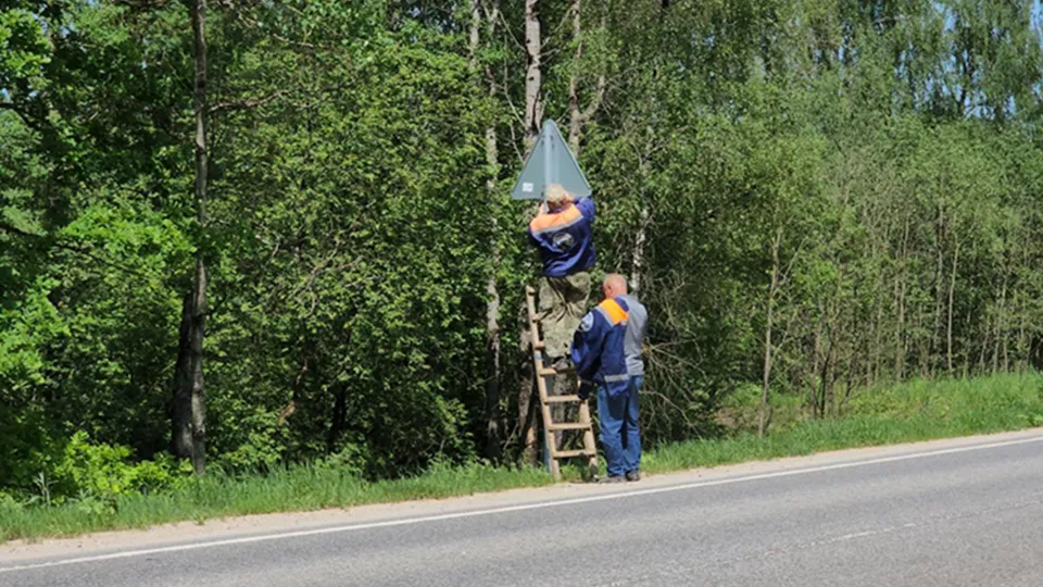 Фото: Минтранс Подмосковья